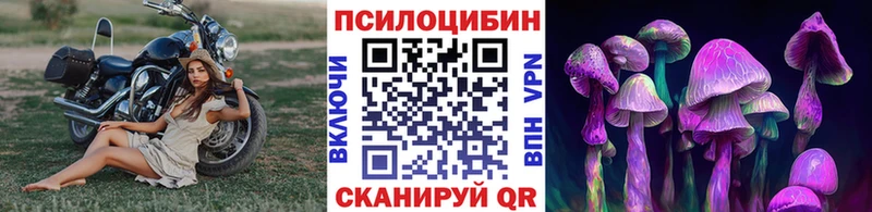 Псилоцибиновые грибы Cubensis  Нижневартовск 
